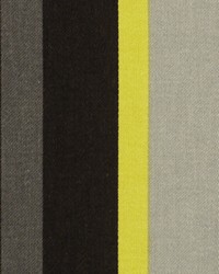 Robert Allen Kukula Noir Fabric