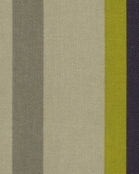Robert Allen Kukula Iris Fabric