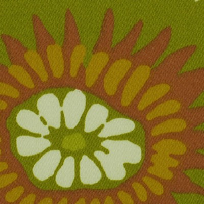 Robert Allen KIKI DAHLIA