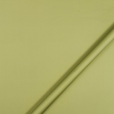 Robert Allen Lustre Sheen Celery