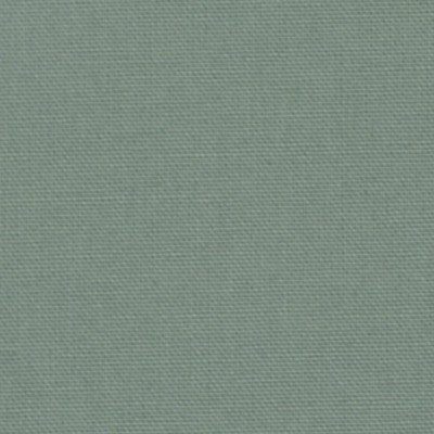 Robert Allen CANVAS DUCK SKY