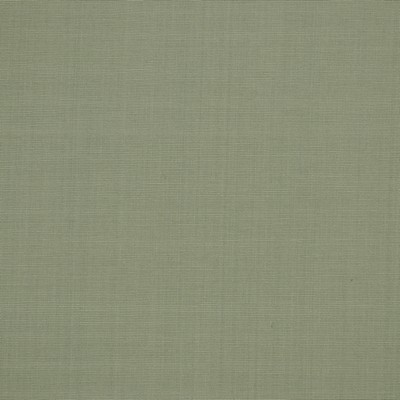 Robert Allen Zahara Powder