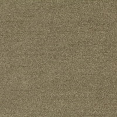 Robert Allen TRAMORE II ALOE