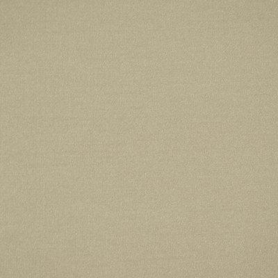 Robert Allen TRAMORE II BIRCH