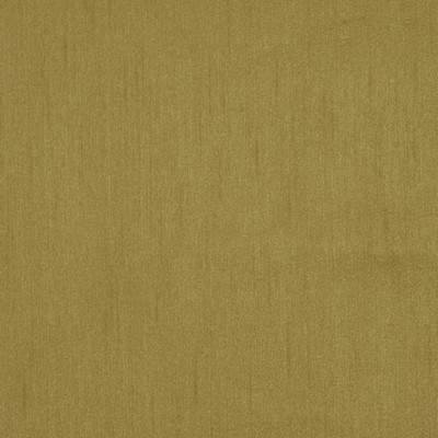 Robert Allen TRAMORE II HONEY