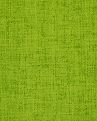 Robert Allen Baja Linen Lime Fabric