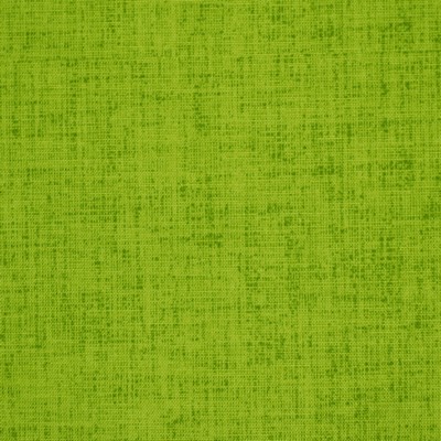 Robert Allen Baja Linen Lime