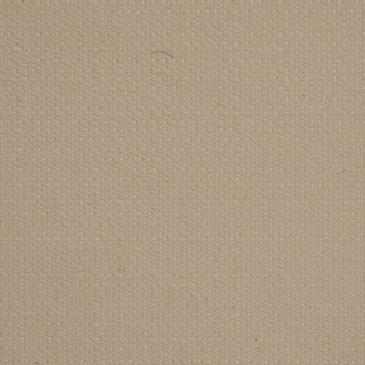 Robert Allen Rough Spot Orchid