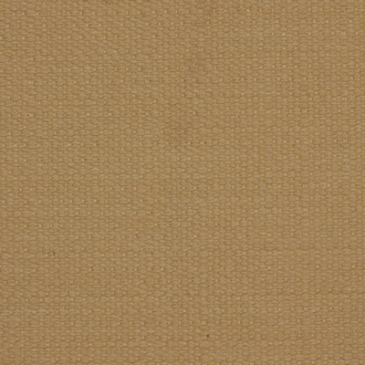 Robert Allen Rough Spot Wheat