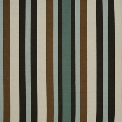 Robert Allen New Stripe Aloe