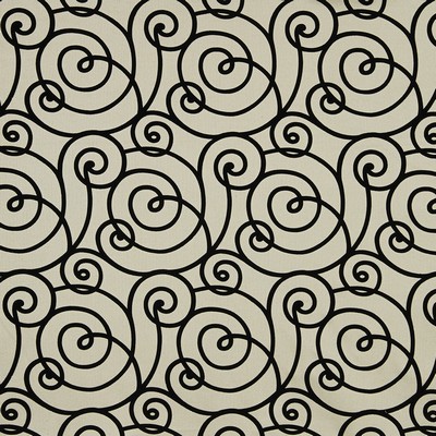 Robert Allen Flocked Scroll Night Sky