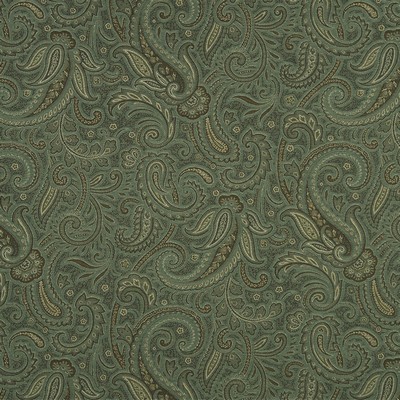 Robert Allen Modern Paisley Aloe