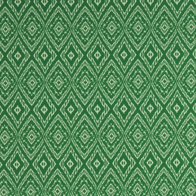 Robert Allen Strie Ikat Malachite