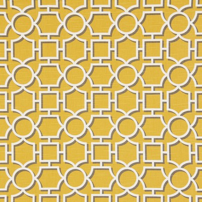 Robert Allen Vreeland Dandelion