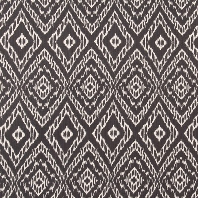 Robert Allen Strie Ikat Storm