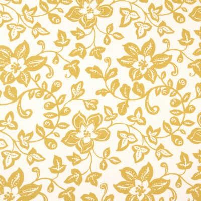 Robert Allen Spring Toss Zest