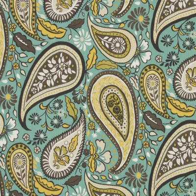 Robert Allen Art Paisley Rain