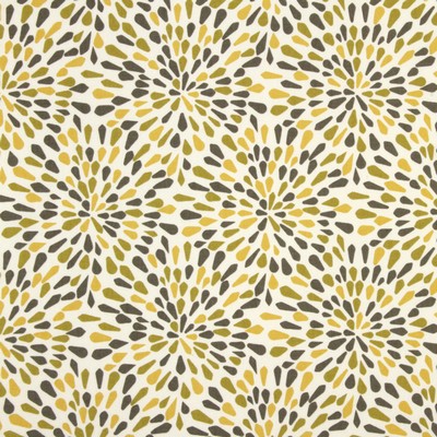 Robert Allen Many Petals Zest