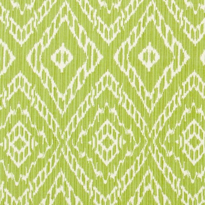 Robert Allen Strie Ikat Leaf