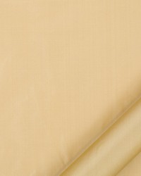 Robert Allen Kerala Amber Fabric