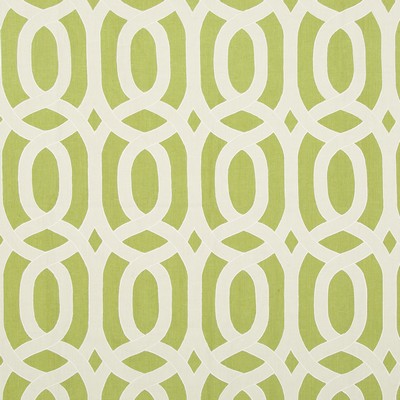 Robert Allen Figure Eight Spring Grass