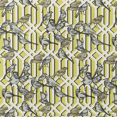 Robert Allen Aviary Trellis Citrine