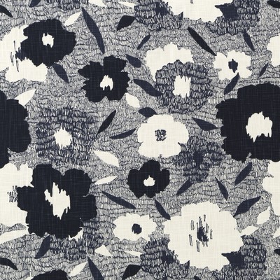 Robert Allen Carys Admiral