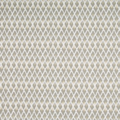 Robert Allen Posh Ikat Pewter