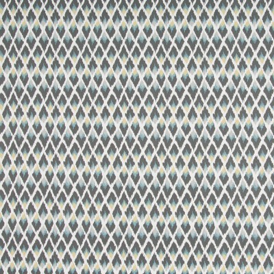 Robert Allen Posh Ikat Rain