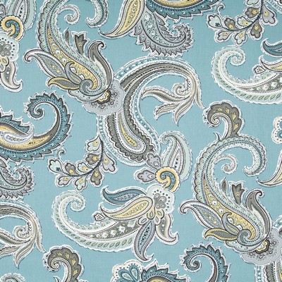 Robert Allen Global Paisley Rain