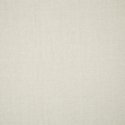 Robert Allen Thailynn Titanium