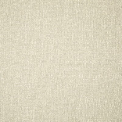 Robert Allen Thailynn Cashew