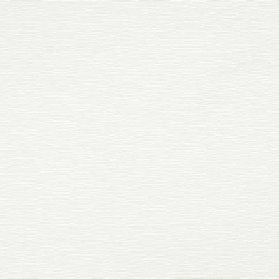 Robert Allen Becko Pale Cream