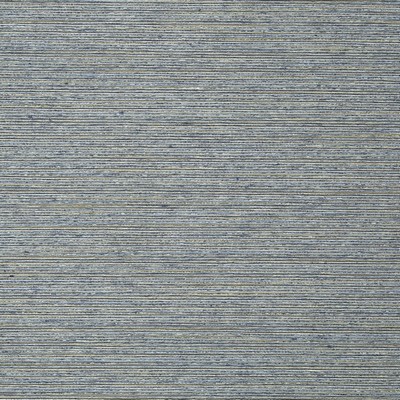 Robert Allen Gizmo Denim