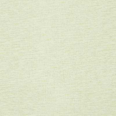 Robert Allen Nashua Endive