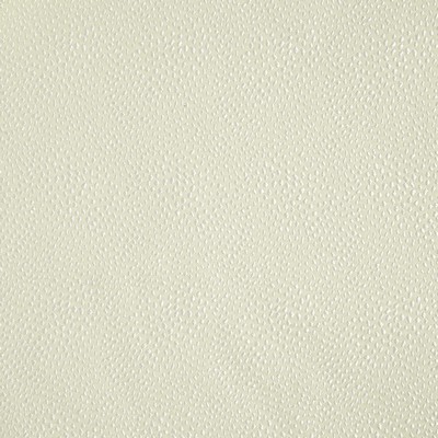 Robert Allen Nyolani Cream