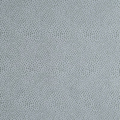 Robert Allen Nyolani Mineral