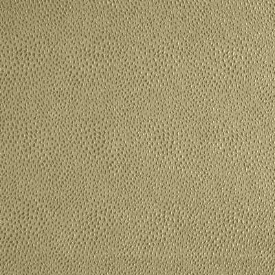 Robert Allen Nyolani Caramel