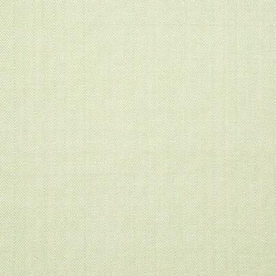 Robert Allen Inner Geo Spring Grass