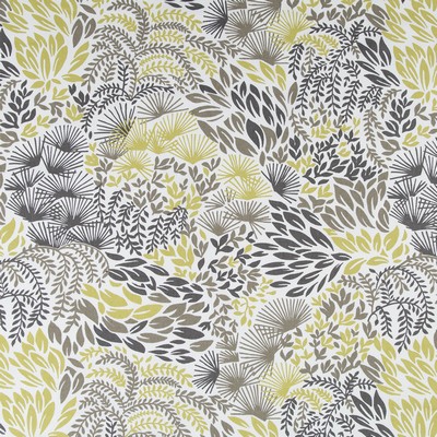 Robert Allen Hanabi Burst Dandelion