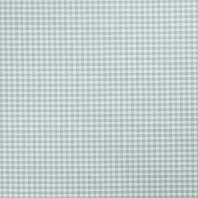 Robert Allen Betsy Gingham Water