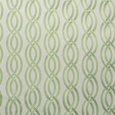 Robert Allen Twisty Lanes Chive