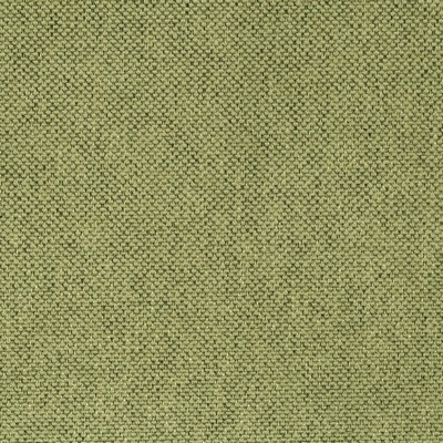 Robert Allen Fellow Sweet Pea