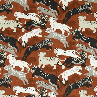 Robert Allen Rajita Tiger Persimmon