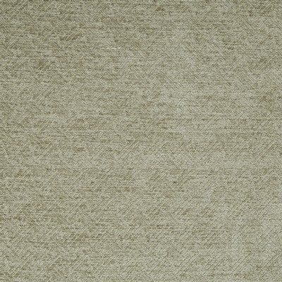 Robert Allen Tangle Up Driftwood