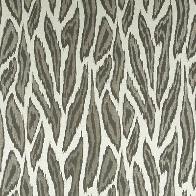 Robert Allen Convection Mica