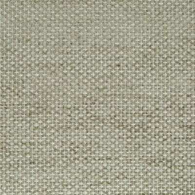 Robert Allen Gem Chenille Driftwood