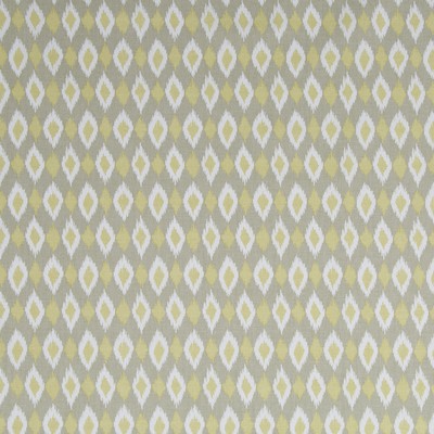 Robert Allen Shayna Ikat Linen