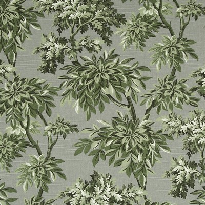 Robert Allen Sylvan Toile Greystone