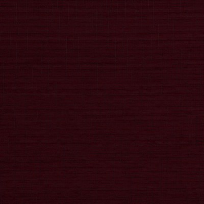 Robert Allen Pantego Orchid